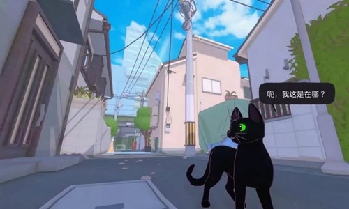 大城小猫手机下载v1.0.3 1
