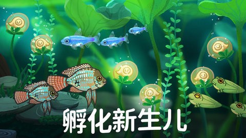 养鱼达人3D免费版下载v10 3