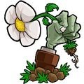 植物大战僵尸支线版下载