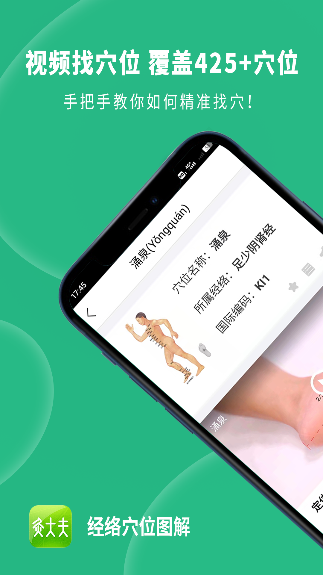 嘉讯经络穴位图解下载v6.4.7 2